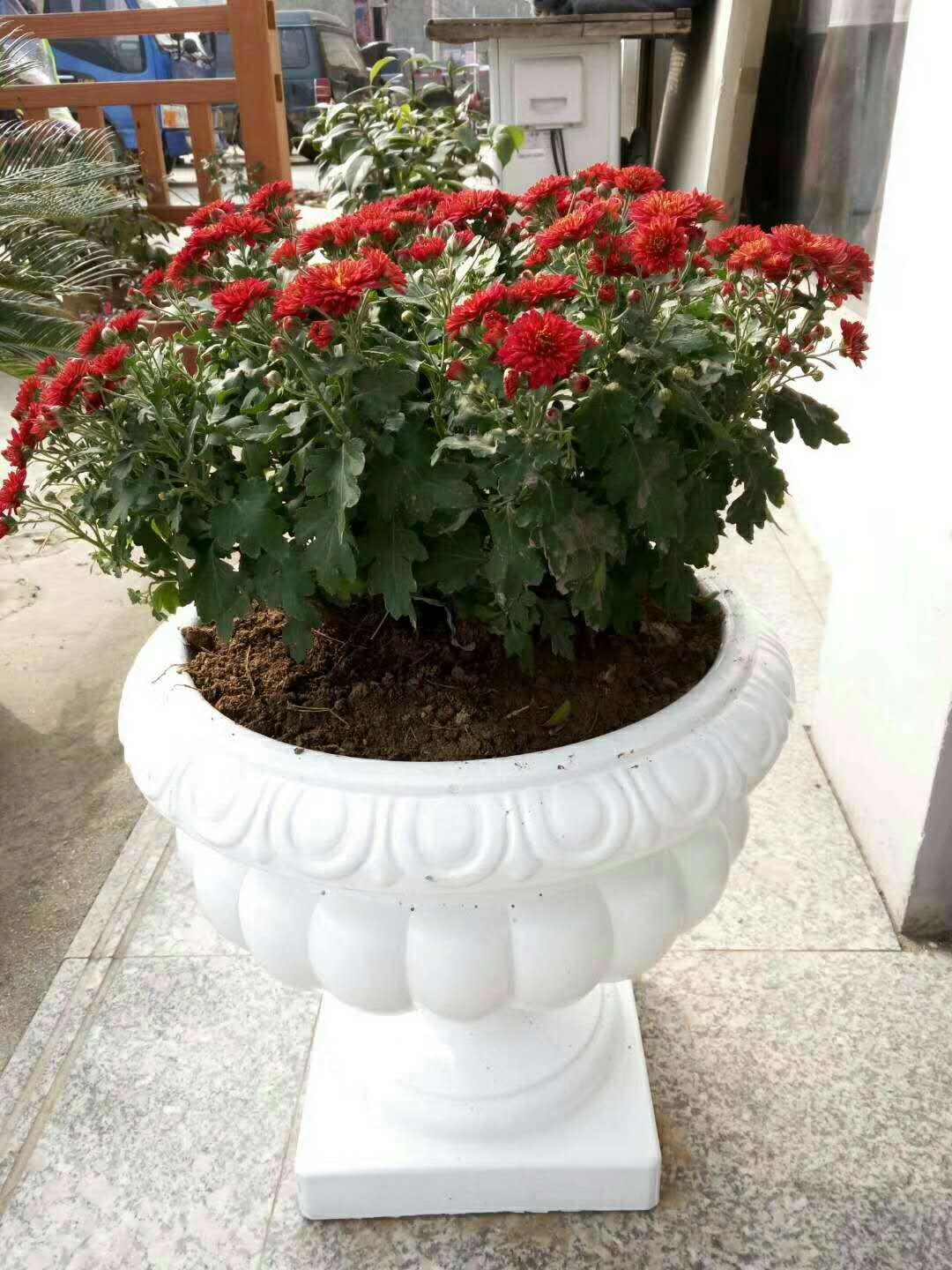 歐式花盆圖片/歐式花盆樣板圖 (1)