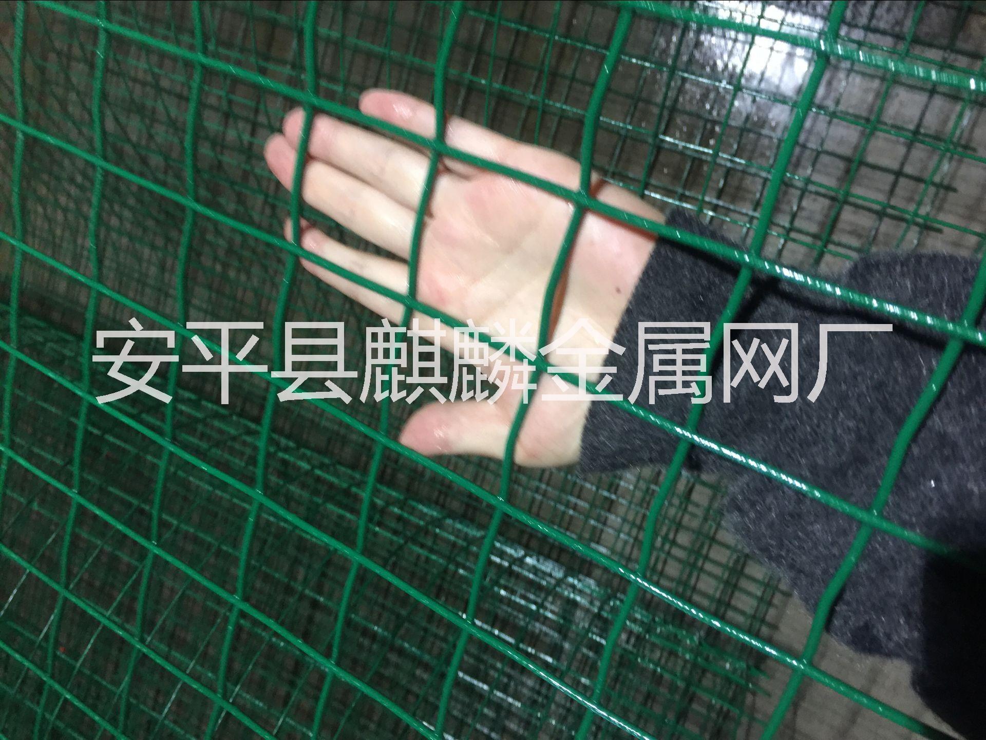 浸塑荷兰网厂家直接供应图片