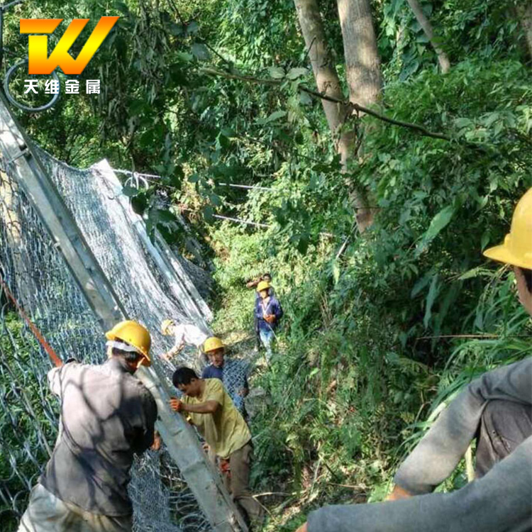 厂家销售安装sns柔性拦石被动防护网 滑坡拦石被动网图片