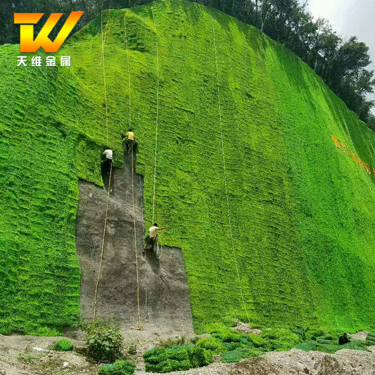 边坡绿化工程喷薄植草道路防护绿化网三维网厂家直销植草网土工网图片