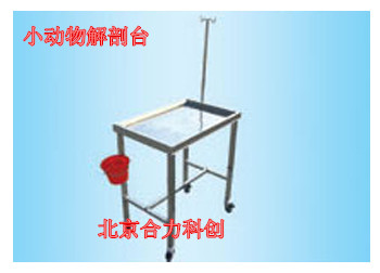小動物解剖臺圖片