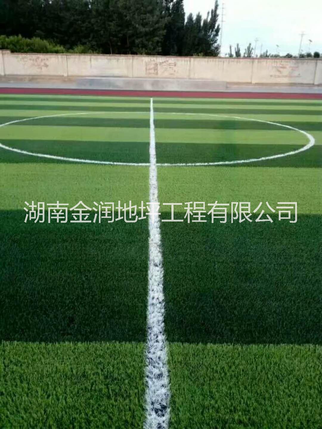 运动场跑道图片