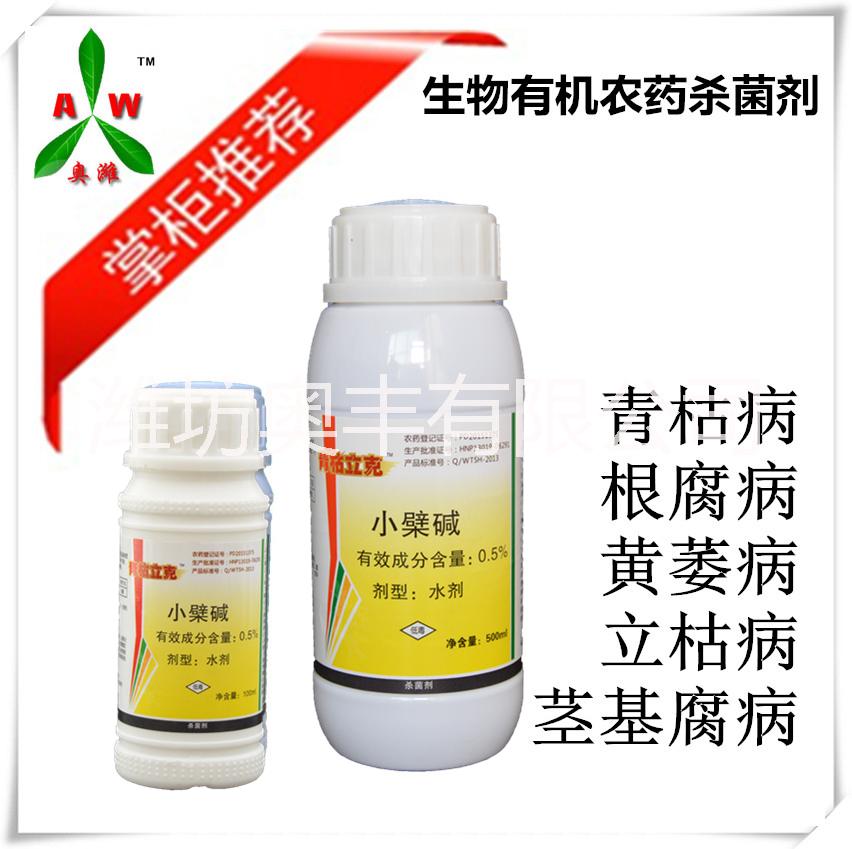 溫室番茄怎樣進行越夏管理圖片