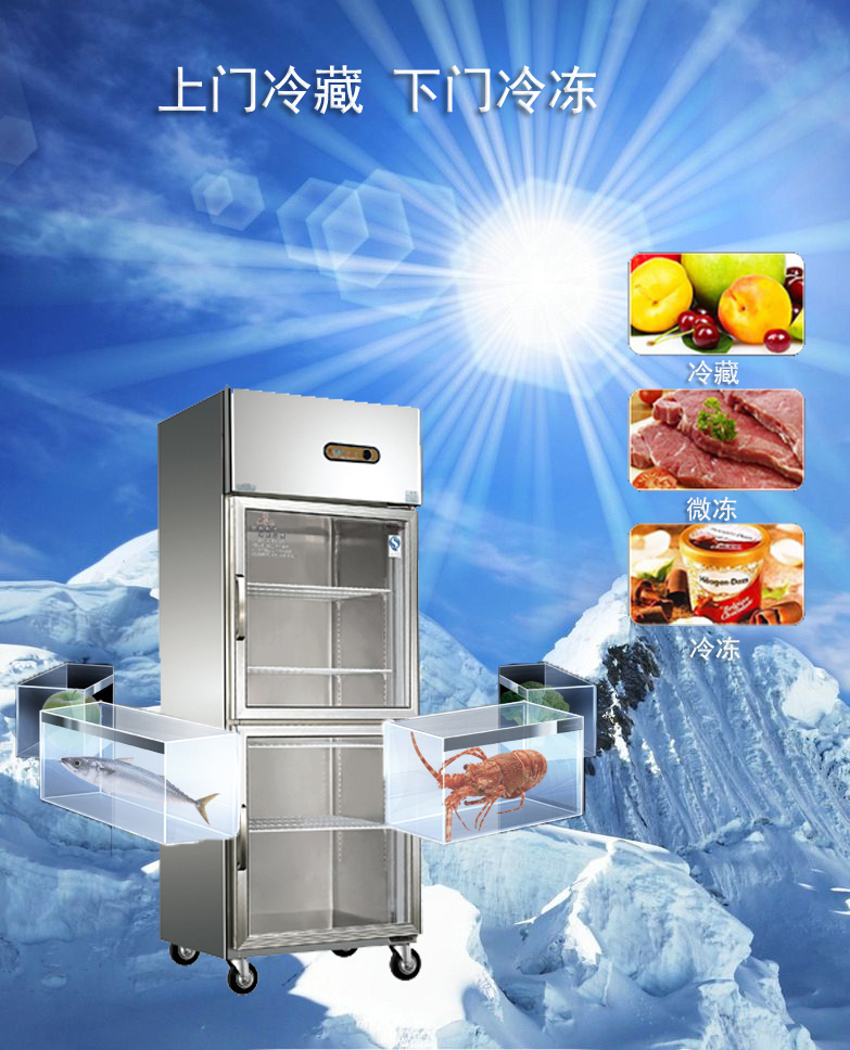 宜春廚房不銹鋼冷柜2門玻璃門（雙玻璃門）