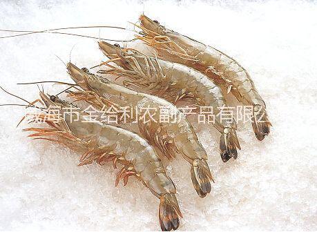 山东对虾海虾价格熟冻虾姑肉货源