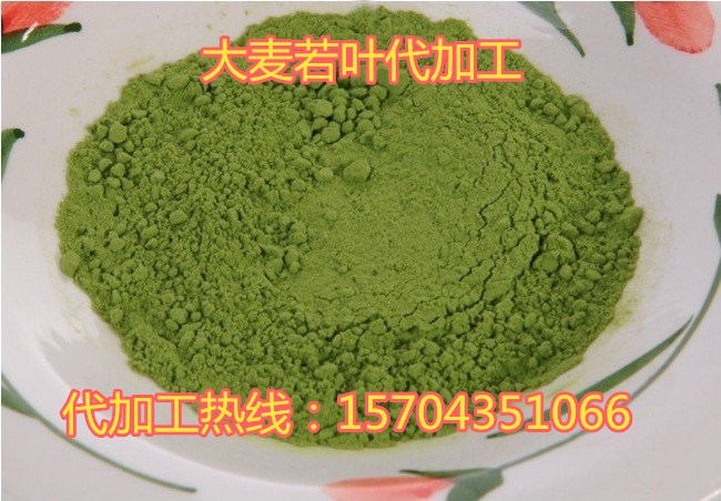 大麥若葉代加工圖片/大麥若葉代加工樣板圖 (3)