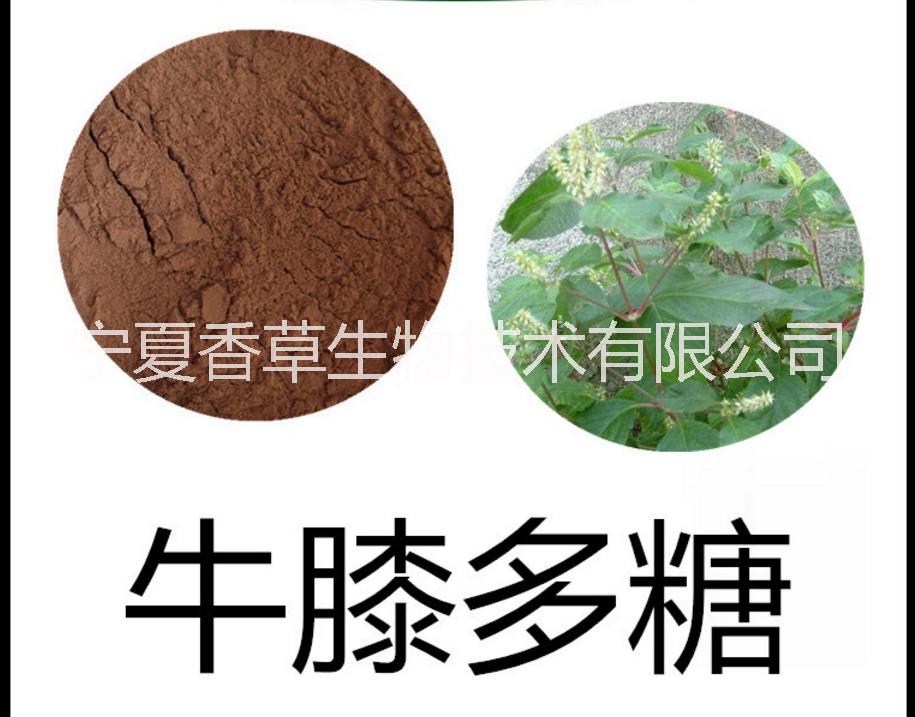 川牛膝提取物 怀牛膝多糖30%价格 宁夏野生艾叶提取物/白芍 赤芍提取物芍药苷50%/仙鹤草提取物紫檀香提取物伸筋草粉图片