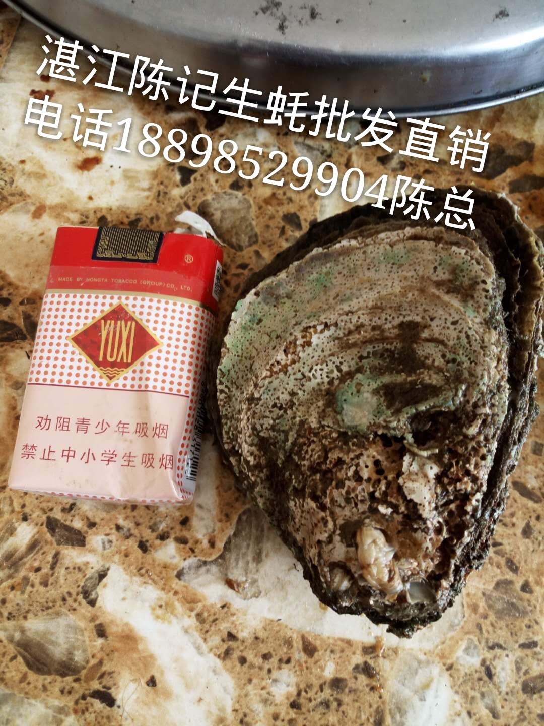 广州生蚝批发价湛江生蚝批发