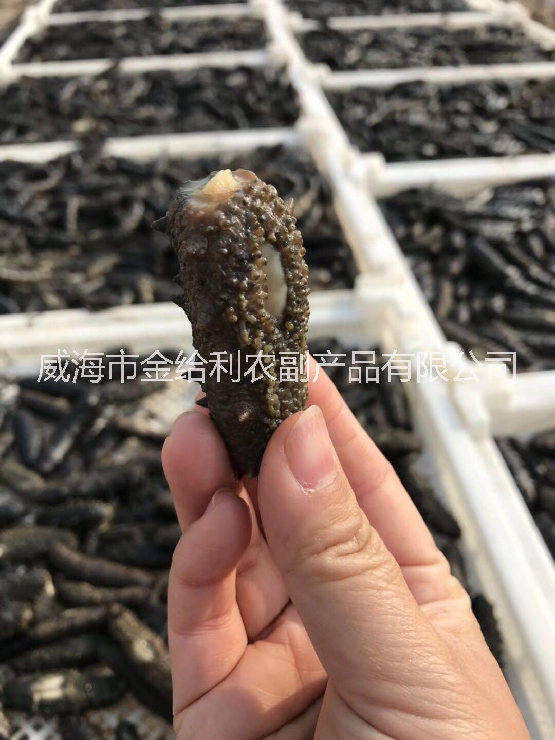 山东南美白对虾养殖 熟冻南美白虾图片