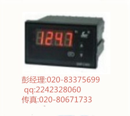 SWP-D823-01控制儀圖片