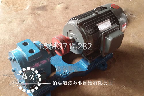 LQB瀝青保溫泵圖片/LQB瀝青保溫泵樣板圖 (1)