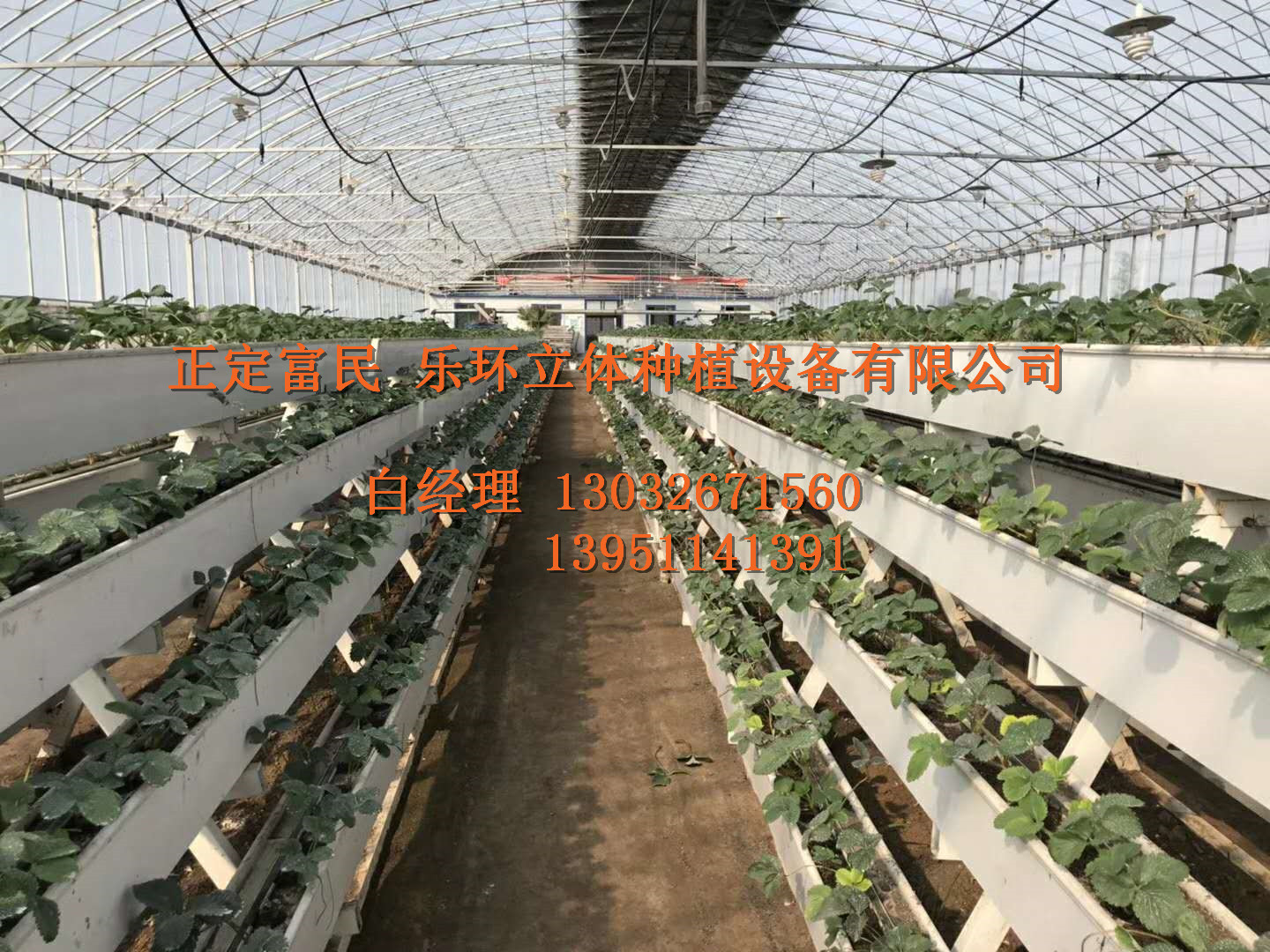 正定县志欣立体种植设备加工厂