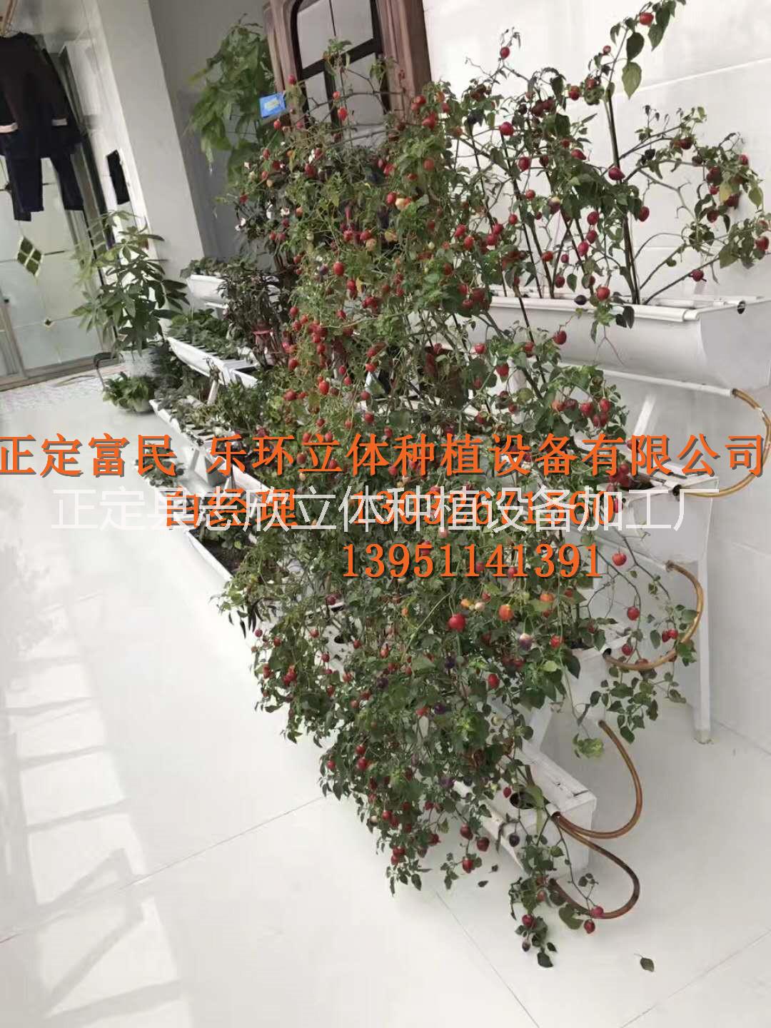 石家庄市阳台蔬菜种植槽，蔬菜基质种植槽厂家