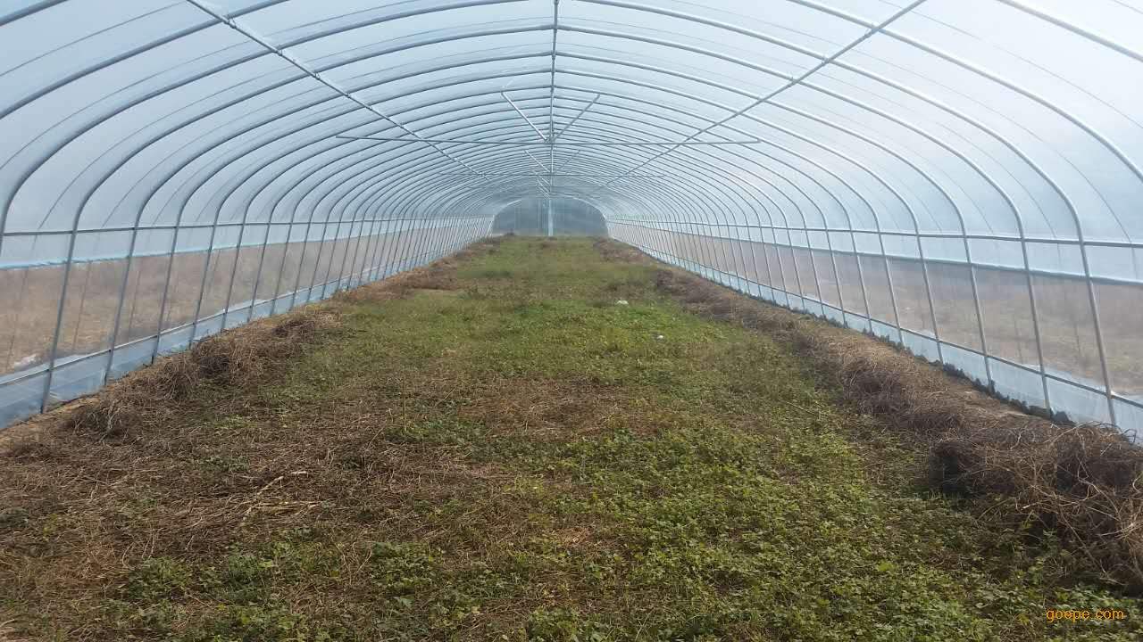 钢架大棚 大棚建设 大棚骨架 大棚管