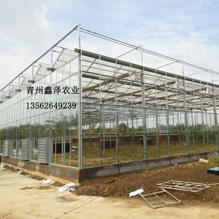 玻璃大棚建筑商 建筑玻璃温室的价格保温蔬菜玻璃温室建筑工厂出售 玻璃大棚建筑商 玻璃大棚工程图片