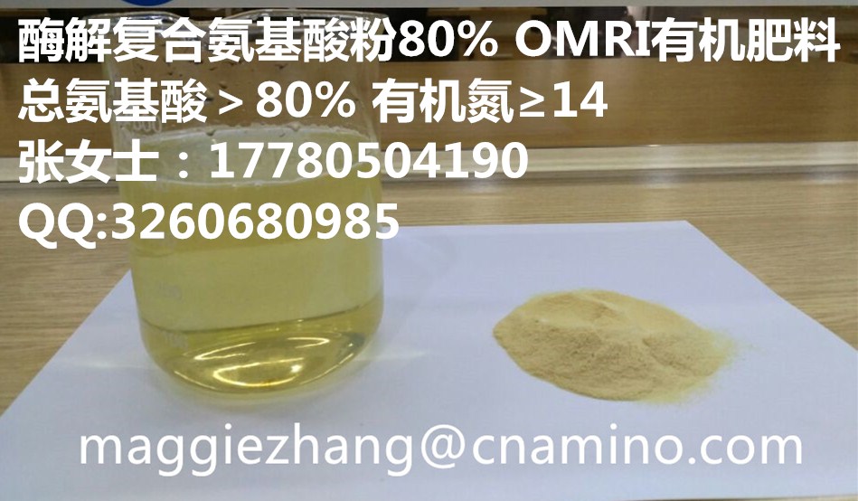 植物源酶解型复合氨基酸粉80%图片