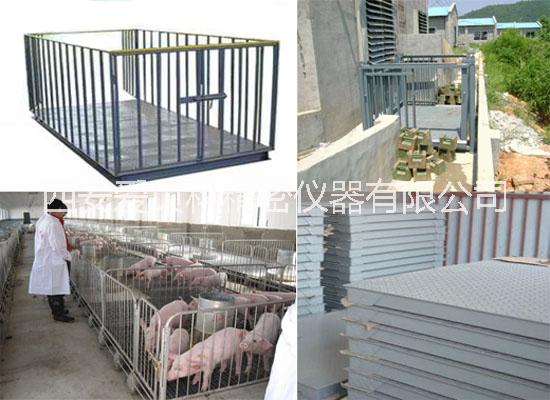 地秤，地磅，大磅秤，電子地磅價位圖片/地秤，地磅，大磅秤，電子地磅價位樣板圖 (4)