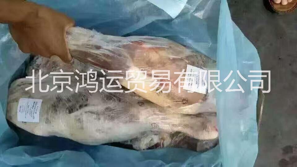 冷冻羊板筋羊腿冷冻羊板筋羊腿羊寸骨排批发直图片