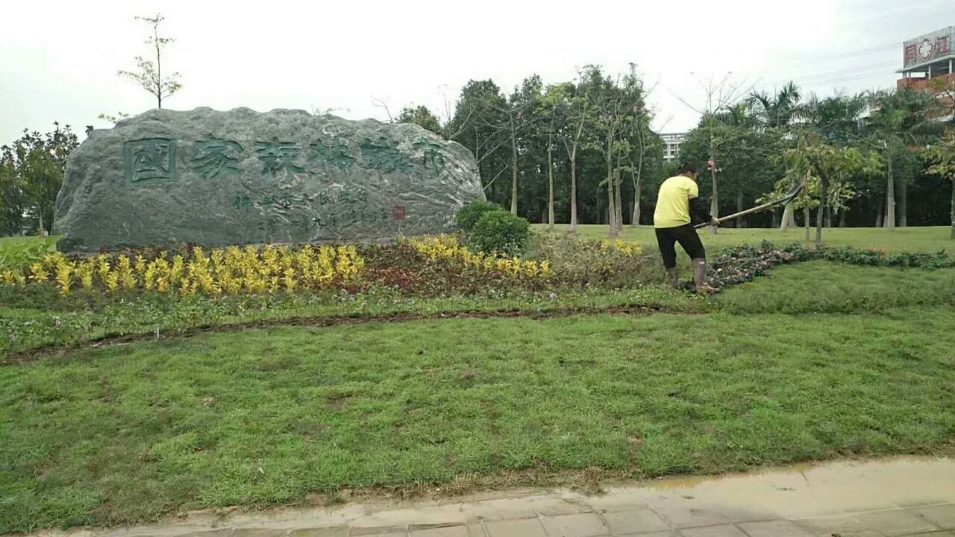 泉州市九龙玉商业景观石厂家九龙玉商业景观石