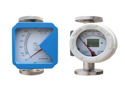WXZJ-JSG20A系列金属管转子流量计图片