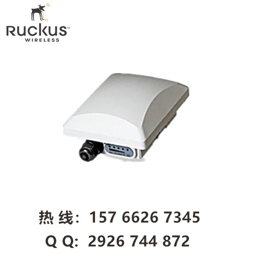 ruckus P300图片