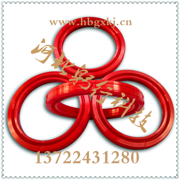 分體式油封分體式油封大型機(jī)械配件專業(yè)供應(yīng)商