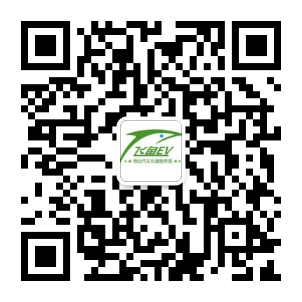 飛魚EV租賃電動(dòng)物流車圖片/飛魚EV租賃電動(dòng)物流車樣板圖 (4)
