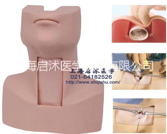 氣管切開訓(xùn)練模型圖片