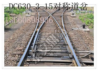 DC615-3-9對(duì)稱道岔圖片