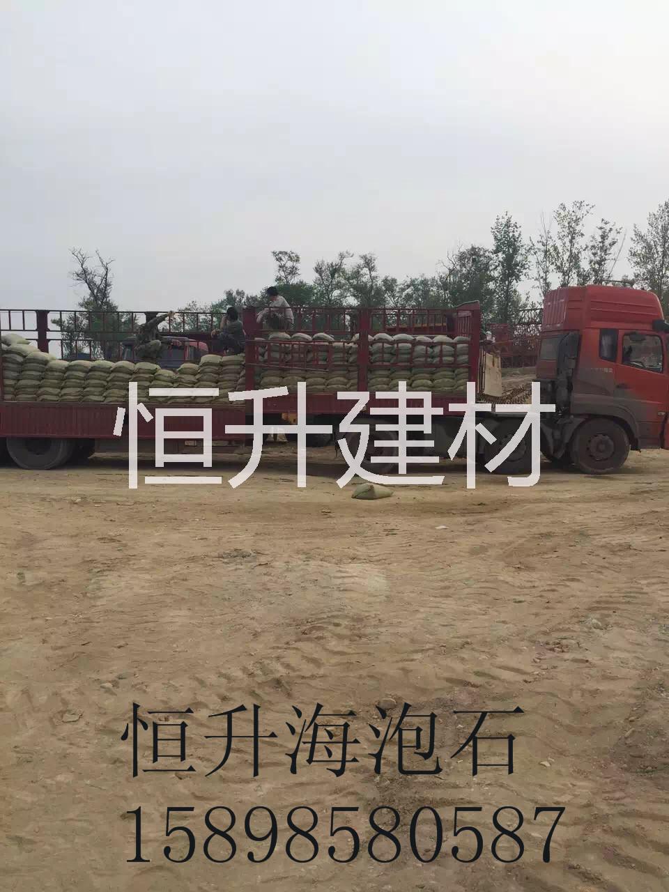 抗鹽粘土圖片/抗鹽粘土樣板圖 (4)