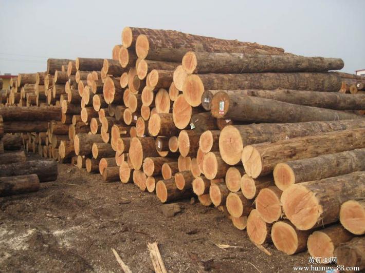 鐵杉建筑木方圖片/鐵杉建筑木方樣板圖 (2)