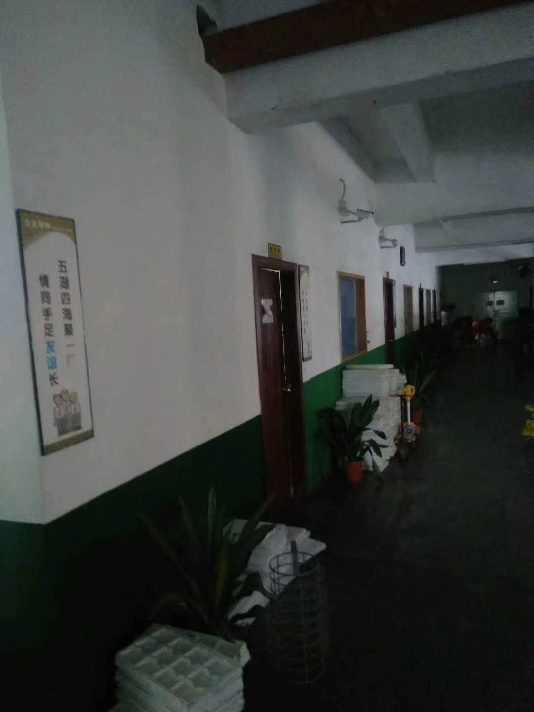 標(biāo)準(zhǔn)廠房圖片/標(biāo)準(zhǔn)廠房樣板圖 (3)
