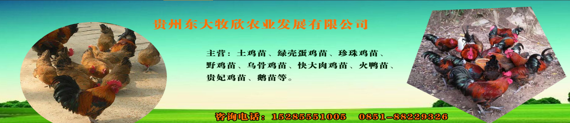 贵州东大牧欣农业发展有限公司