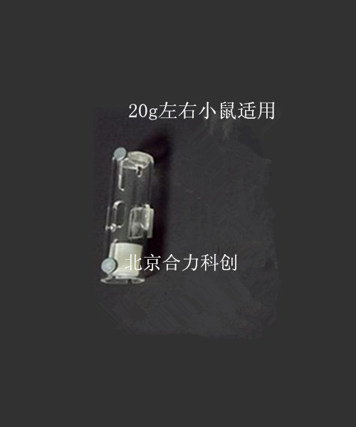 小鼠固定器  HL-XTS-20圖片