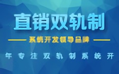 长春市大连专业直销软件开发公司厂家