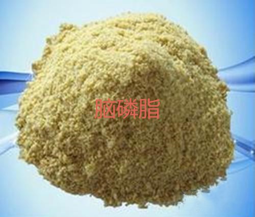 腦磷脂圖片/腦磷脂樣板圖 (1)