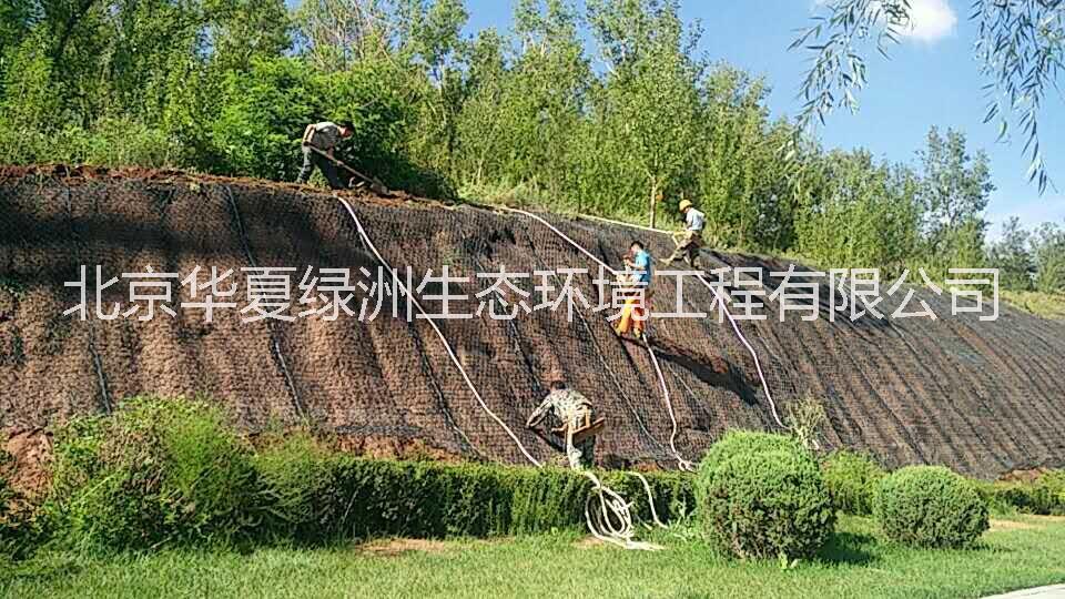 北京喷播绿化技术  地产开挖边坡飘台种植槽技术   联体植生垫 湿地公园 联体植生垫 湿地公园河道护理 加筋土工网垫图片