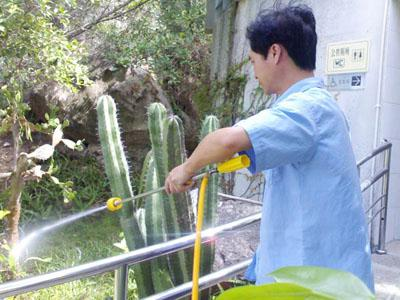 中山市江门市虫害防治厂家江门家庭灭白蚁厂家 江门市虫害防治装修灭白蚁供应商 家庭灭白蚁供应商 装修灭白蚁厂家专业灭白蚁 新建灭白蚁厂家