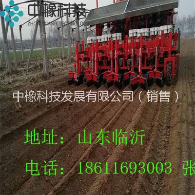 移栽機(jī)圖片/移栽機(jī)樣板圖 (3)