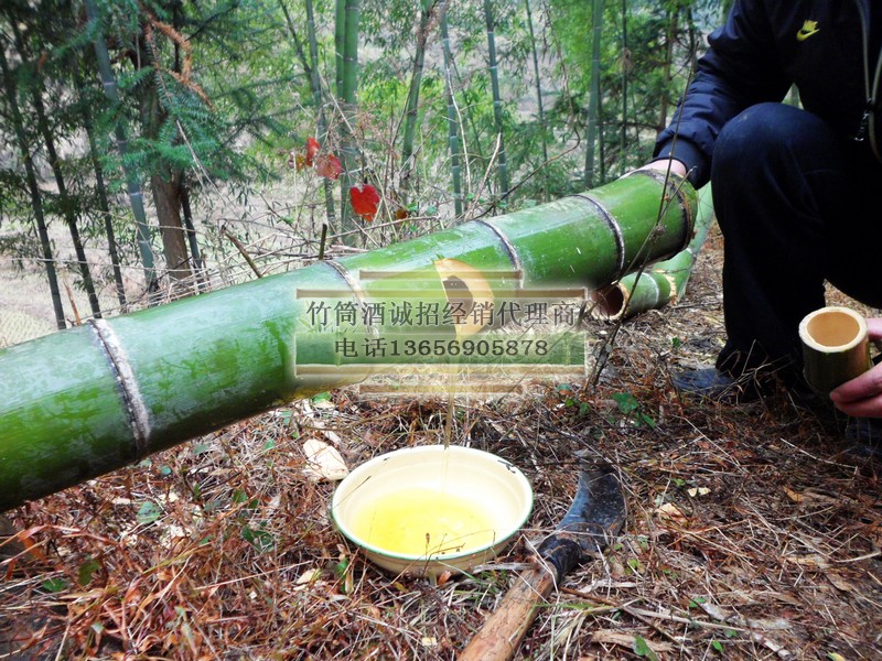 内蒙竹筒酒--青竹酒巴彦淖尔代理 原生态52度竹酿酒兴安盟市场分销图片