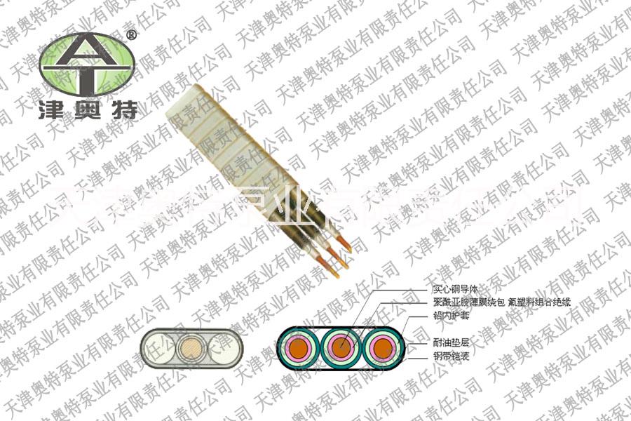 潜油电泵生产制造厂家天津奥特泵业厂房检测设备应有尽有给你找到合适泵型号图片