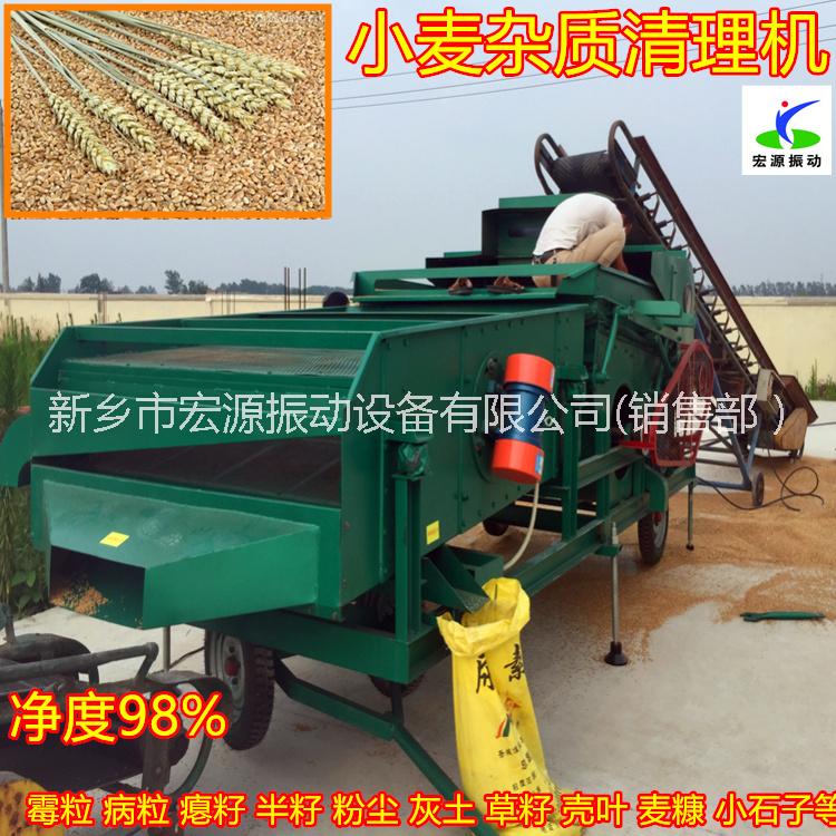 小麥圖片/小麥樣板圖 (3)