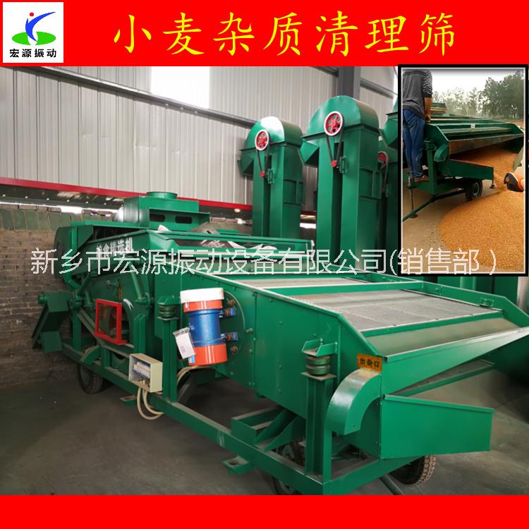 小麥圖片/小麥樣板圖 (4)