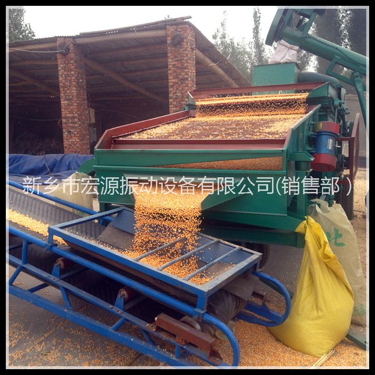 小麥圖片/小麥樣板圖 (1)