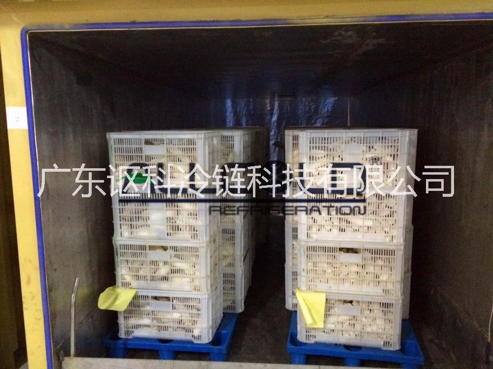 有機(jī)蔬菜保鮮真空預(yù)冷機(jī)圖片/有機(jī)蔬菜保鮮真空預(yù)冷機(jī)樣板圖 (2)