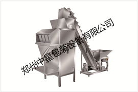 鄭州中星半自動定量多功能包裝機