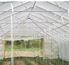 賽瑞斯F103散光膜圖片