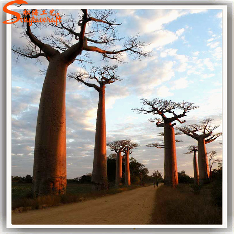 植物仿真面包樹圖片/植物仿真面包樹樣板圖 (3)