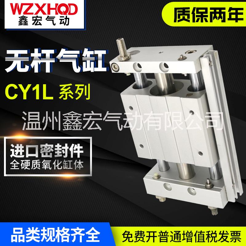CY1L無(wú)桿氣缸圖片
