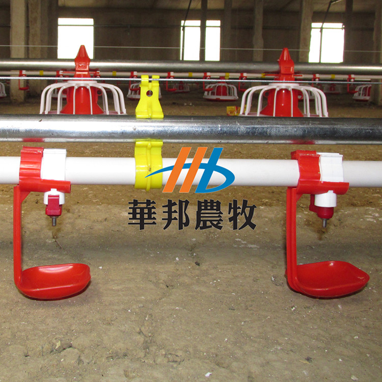 山東華邦供應(yīng)自動化養(yǎng)雞水線圖片/山東華邦供應(yīng)自動化養(yǎng)雞水線樣板圖 (1)